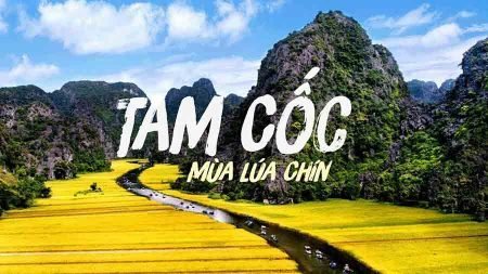 du lịch Tam cốc mùa lúa chín