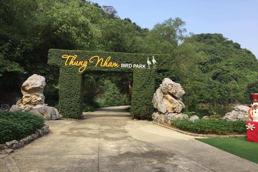 Kinh nghiệm du lịch Thung Nham: Vương quốc vườn chim ở Ninh Bình