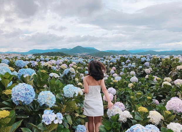 Du lịch Lâm Đồng: Ghé thăm mảnh đất cao nguyên ngàn hoa | Đà Lạt