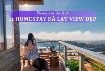 Homestay Đà Lạt view đẹp