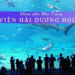 Viên Hải dương học Nha Trang