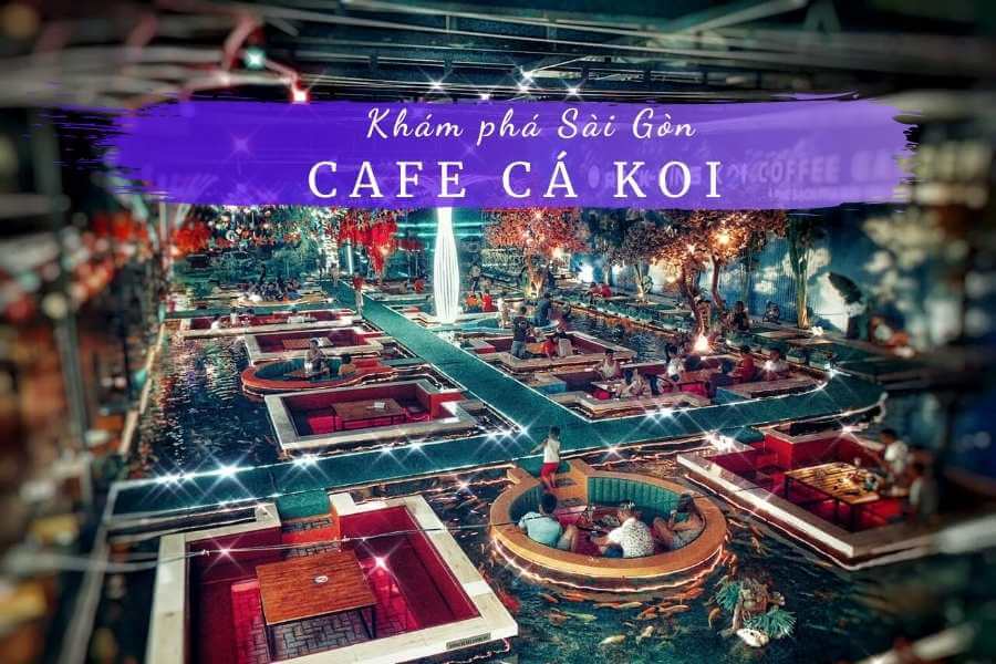 Top 10 quán cafe cá Koi Sài Gòn, Hà Nội, Cần Thơ đẹp diệu kỳ Top 10 Quán Cafe Cá Koi Sài Gòn, Hà Nội, Cần Thơ Đẹp Diệu Kỳ
