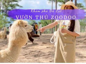 Vườn thú Zoodoo | Sở thú Zoodoo Đà Lạt