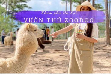 Vườn thú Zoodoo | Sở thú Zoodoo Đà Lạt