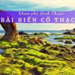 Review bãi biển Cổ Thạch Bình Thuận