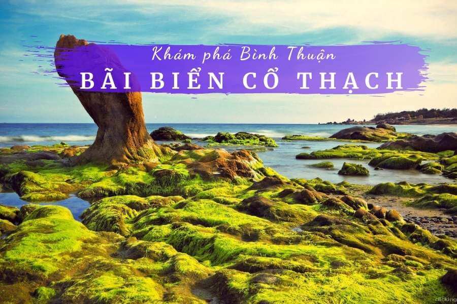 Kinh nghiệm du lịch biển Cổ Thạch Bình Thuận 2021