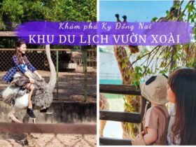 Review Khu du lịch vườn xoài Đồng Nai
