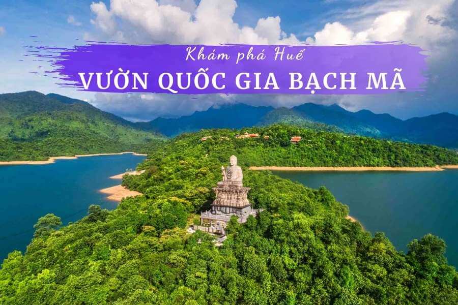 Kinh nghiệm du lịch Vườn quốc gia Bạch Mã Huế | Review 2021