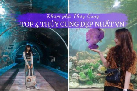 Thủy cung time city