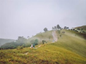 Trekking Tà Năng Phan Dũng