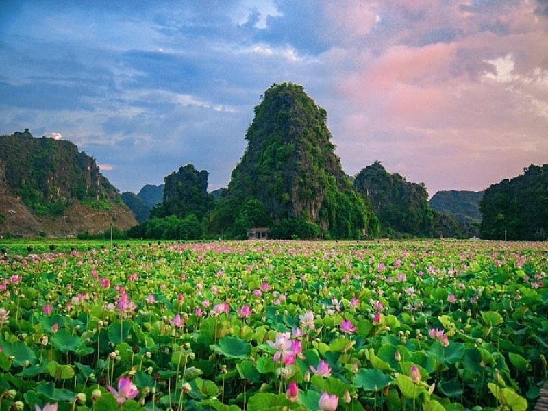 Hanoi to Ninh Binh