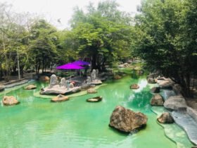 Du lịch sinh thái Song Long: Điểm đến du lịch lý tưởng giữa lòng Sài Gòn
