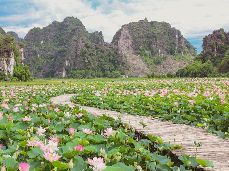 Tam Coc Vietnam