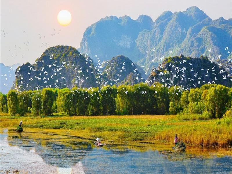 Thung Nham Bird Park: Lost in the kingdom of birds in Ninh Binh