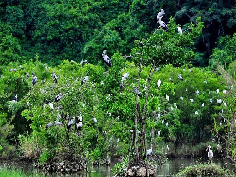 Thung Nham Bird Park