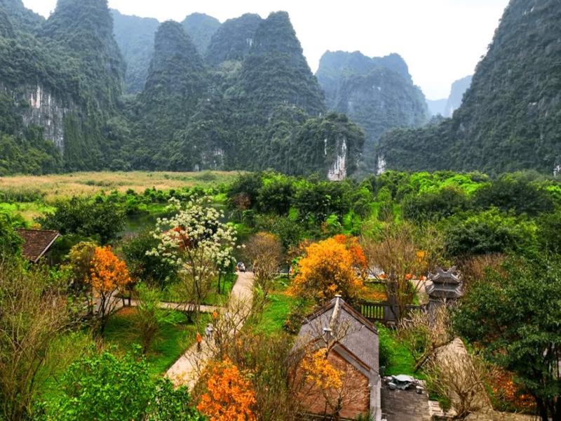 UNESCO World Heritage Site-Hoi An Private Taxi