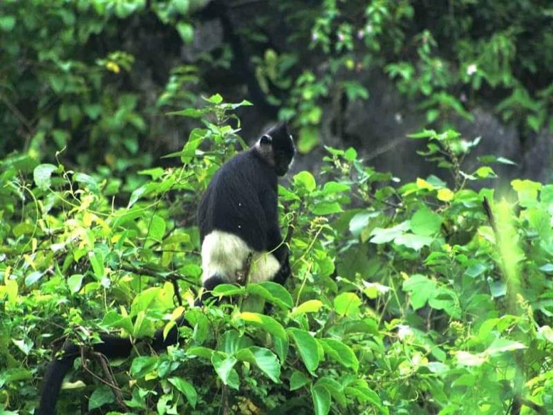 Van Long Nature Reserve Biodiversity