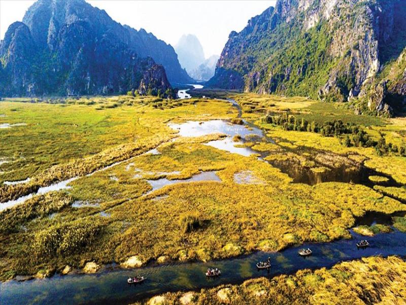 Van Long Nature Reserve Overview