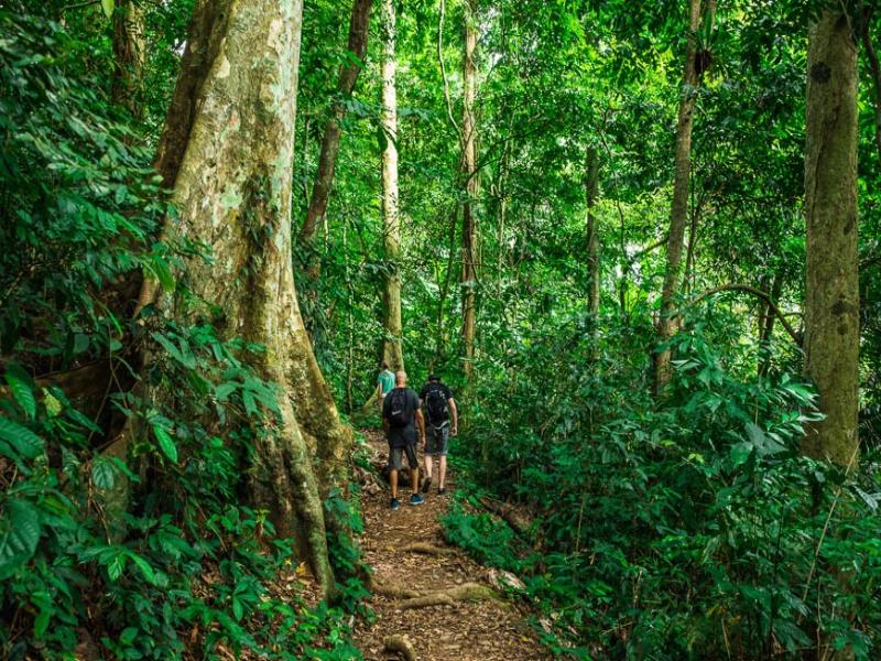 Cuc Phuong National Park